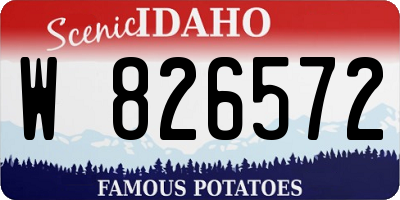 ID license plate W826572
