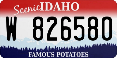 ID license plate W826580