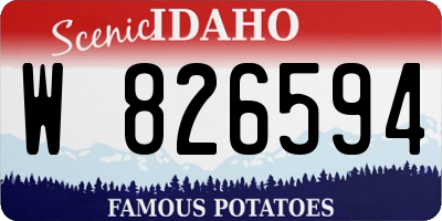 ID license plate W826594