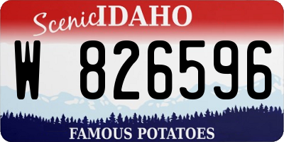 ID license plate W826596