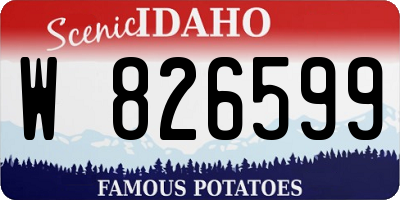 ID license plate W826599