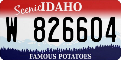 ID license plate W826604