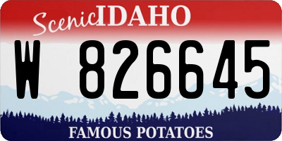 ID license plate W826645