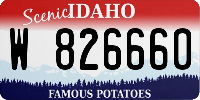 ID license plate W826660
