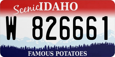 ID license plate W826661