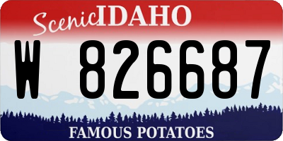 ID license plate W826687