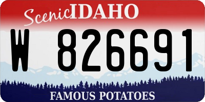 ID license plate W826691