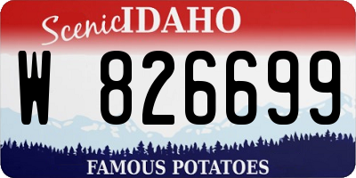 ID license plate W826699