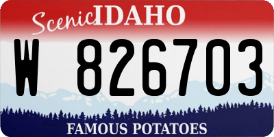 ID license plate W826703