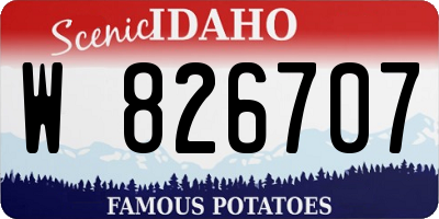 ID license plate W826707