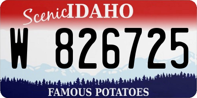 ID license plate W826725