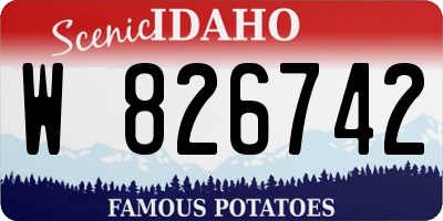 ID license plate W826742