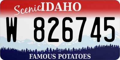 ID license plate W826745