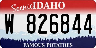 ID license plate W826844