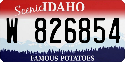 ID license plate W826854