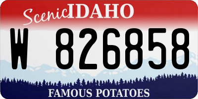 ID license plate W826858