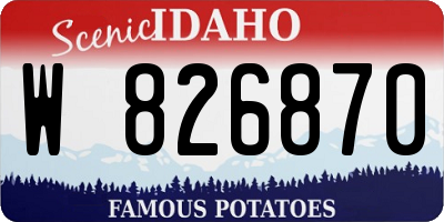 ID license plate W826870