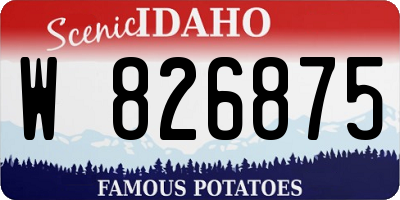 ID license plate W826875