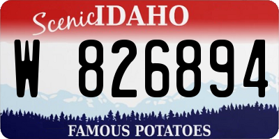 ID license plate W826894