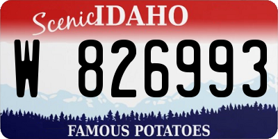 ID license plate W826993