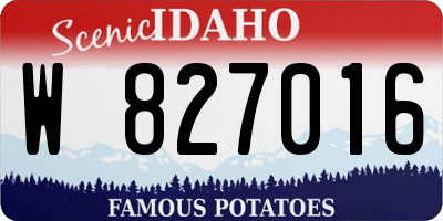 ID license plate W827016