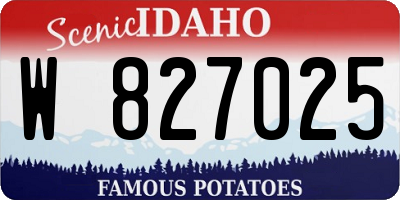 ID license plate W827025
