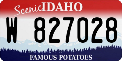 ID license plate W827028