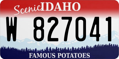 ID license plate W827041
