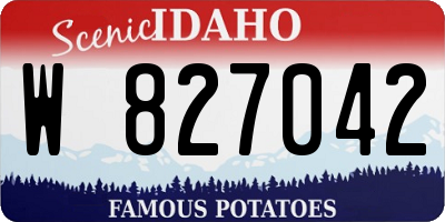 ID license plate W827042