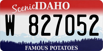 ID license plate W827052