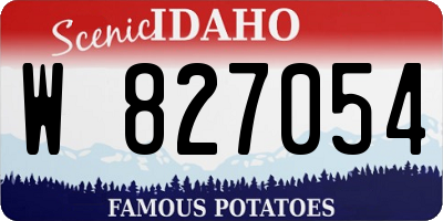 ID license plate W827054