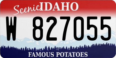 ID license plate W827055