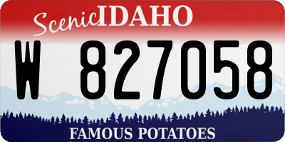 ID license plate W827058
