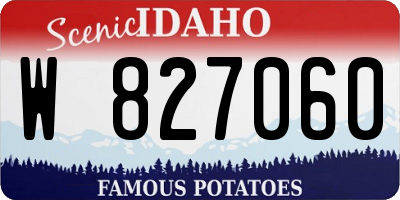ID license plate W827060