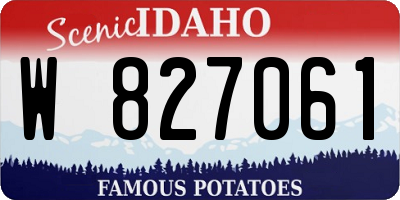 ID license plate W827061