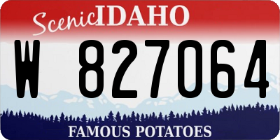 ID license plate W827064