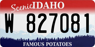 ID license plate W827081