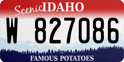 ID license plate W827086