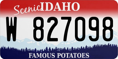 ID license plate W827098