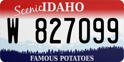 ID license plate W827099