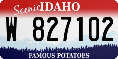 ID license plate W827102