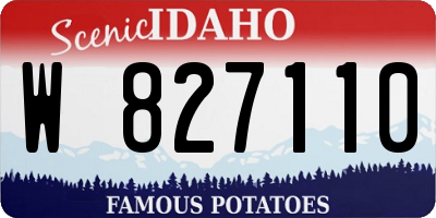 ID license plate W827110