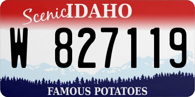 ID license plate W827119