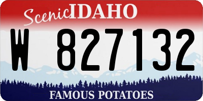 ID license plate W827132