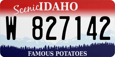 ID license plate W827142