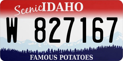 ID license plate W827167