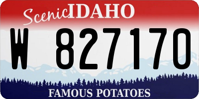 ID license plate W827170