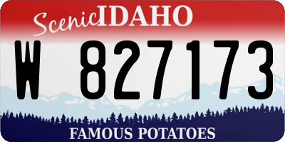 ID license plate W827173