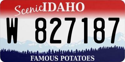 ID license plate W827187