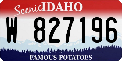 ID license plate W827196
